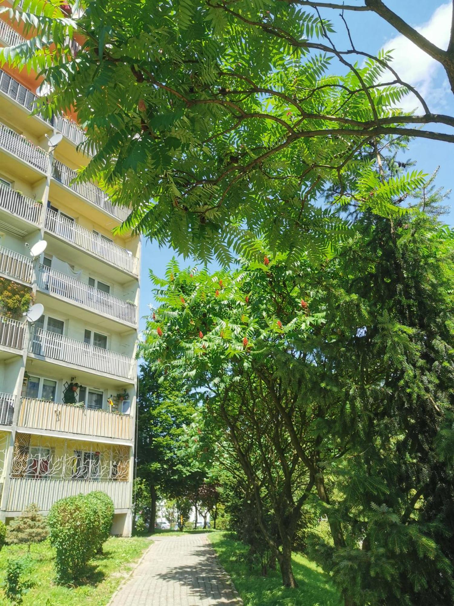 Przytulne Mieszkanie W Centrum Jastrzębie Zdrój Εξωτερικό φωτογραφία